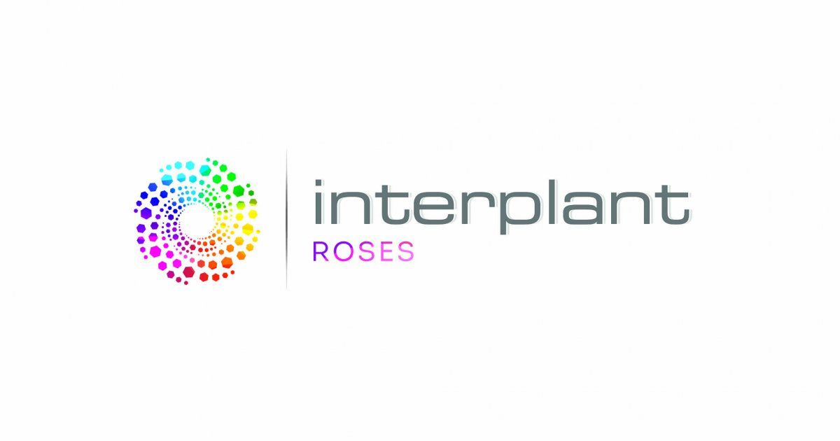 Interplant-Roses-logo-fc-voor-op-bedrijfspagina2.jpg